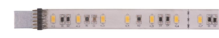 Picture of 1.44W Spec 24V 33K 4" Wet LED 
