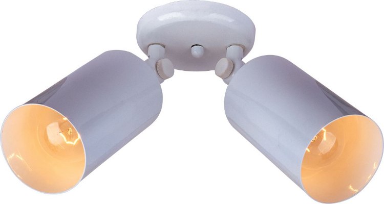 Foto para 50W 2-Light Can Wall/Flush Mount Wet WT MB PAR20 Halogen 6-Min