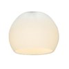 Picture of Globetrotter Frosted Glass Shade