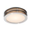 Picture of 100w Iron E-26 A-19 Incandescent Damp Location Brushed Steel Frosted Flush-Mount (CAN 1.6"Ø9.75")