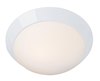Picture of 120w (2 x 60) Cobalt E-26 A-19 Incandescent Damp Location White Opal Flush-Mount (CAN 1.5"Ø13")