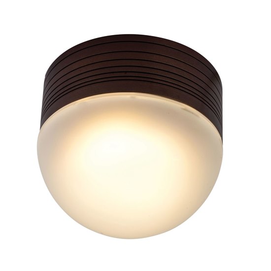 Foto para 13w MicroMoon GU-24 Spiral Fluorescent Bronze Frosted Marine Grade Wet Location Ceiling or Wall Fixture (CAN 1.5"Ø4.4")