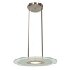 Picture of 150w Helius R7s J-78 Halogen Dry Location Brushed Steel Clear Frosted Pendant (CAN 0.75"Ø8.25")