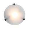 Picture of 150w Nimbus R7s J-118 Halogen Damp Location White Frosted Flush-Mount 4"Ø12.5"