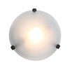 Foto para 150w Nimbus R7s J-118 Halogen Damp Location White Frosted Flush-Mount 4"Ø12.5"