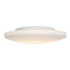 Picture of 180w (3 x 60) Orion E-26 A-19 Incandescent Damp Location White Opal Flush-Mount 4.5"Ø19" (CAN 1"Ø11.1")
