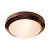 Foto para 60w Oceanus E-26 A-19 Incandescent Bronze Frosted Marine Grade Wet Location Ceiling or Wall Fixture (CAN 5"x4.6")