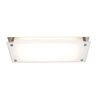 Picture of 48w (2 x 24) Vision Bi-Pin T-5 HO Linear Fluorescent Damp Location Brushed Steel Frosted Fluorescent Ceiling Wall Fixture (CAN 22.9"x4.4"x1.4")