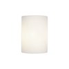 Picture of 60w Tabo E-12 B-10 Incandescent Damp Location Brushed Steel Opal Wall & Vanity (CAN 0.75")