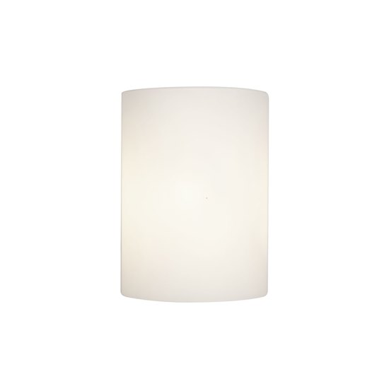 Picture of 60w Tabo E-12 B-10 Incandescent Damp Location Brushed Steel Opal Wall & Vanity (CAN 0.75")