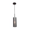Picture of 60w 800lm 27k Multis E-26 Incandescent Dry Location Black Chrome Clear 1-Light Encaged Glass Pendant (OA HT 134") (CAN 1.5"Ø5.13")