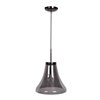 Foto para 60w 800lm 27k Simplicite E-26 Incandescent Dry Location Black Chrome Smoke 1-Light Bell Glass Pendant (OA HT 131") (CAN 1.5"Ø5.13")