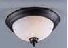 Foto para Novus 1-Light Flush Mount OI Satin White Opal Glass MB Incandescent Incandescent