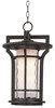 Foto para Oakville LED 1-Light Outdoor Hanging Lantern BO Water Glass GU24 LED