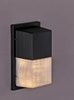 Foto para Wall Pak LED Wall Sconce BK Clear Glass PCB LED