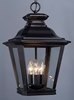 Picture of Knoxville 3-Light Outdoor Pendant BZ Clear Glass CA Incandescent E12 60 (OA HT 21.25"-91.75") (CAN 5"x5"x1.25")36" Chain