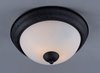 Foto para Novus 2-Light Flush Mount OI Satin White Opal Glass MB Incandescent Incandescent