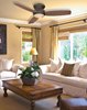 Picture of 79.3w SW 54In Sundowner Indoor/Outdoor White