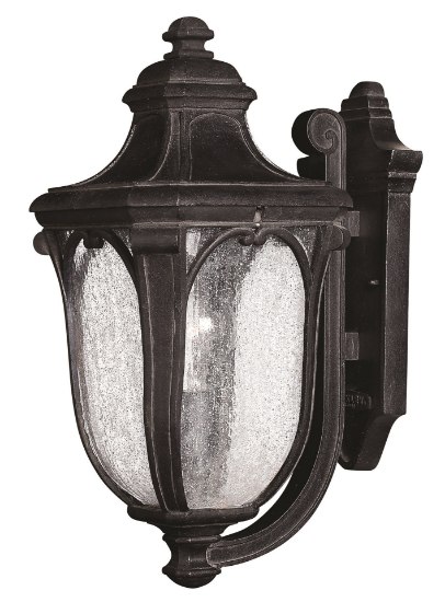 Foto para 75w Outdoor Trafalgar MED Clear Seedy Museum Black Medium Wall Mount