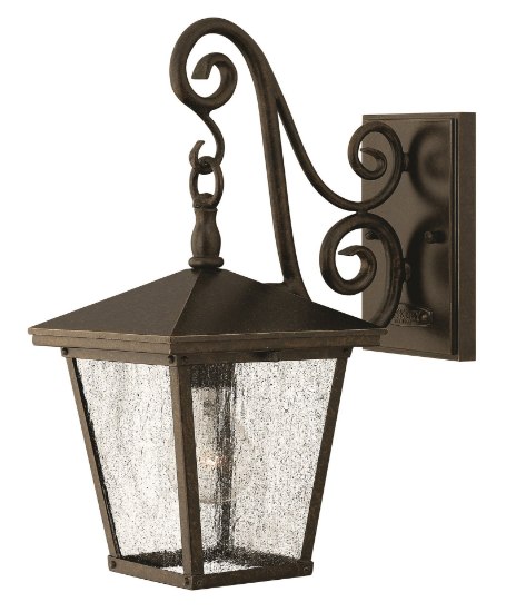 Foto para 100w Outdoor Trellis MED Clear Seedy Regency Bronze Small Wall Mount