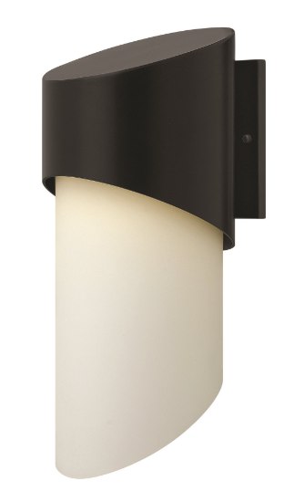 Foto para 100w Outdoor Solo MED Etched Opal Satin Black Large Wall Mount