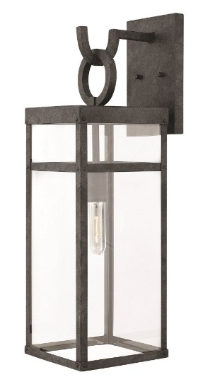 Foto para 100w Outdoor Porter MED Clear Aged Zinc Large Wall Mount