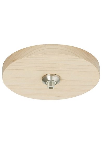 Foto para Fusion Satin Nickel FSJ Canopy 4IN Rnd Flsh SN 24V