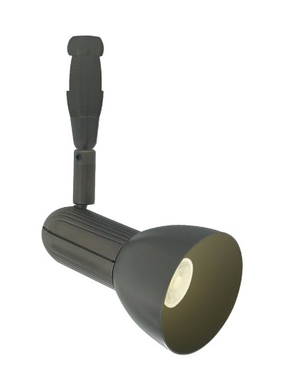 Foto para 6w Swing Bronze Swing Head BZ 25° 12 LED FSJ