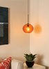 Picture of 60w Isla Satin Nickel Medium Base Isla Pendant NL Amber SN