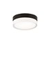 Picture of 80w Cirque Satin Nickel Cirque Ceiling large, sn