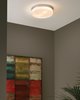 Foto para 20w Cirque Satin Nickel Cirque Ceiling Large, sn-LED3