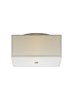 Foto para 300w Chambers Satin Nickel TD-Chamb Ceil lg white, sn