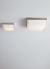 Picture of 20w Boxie Chrome Boxie Ceiling Large, ch-LED3