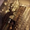 Picture of 9.8 x 6.6 ft (3 x 2 m) 300-Light Decorative Outdoor/Indoor WW Controllable LED String Light