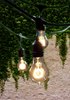 Picture of 48' (14.6m) 15-Light Nostalgic Spiral A19 E26 Kit Incandescent Outdoor/Indoor String Light