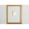 Foto para adorne Cast Metals Brushed Brass 1-Gang 2-Module Wall Plate