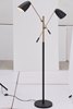 Picture of 80w (2 x 40w) Tanner Matte Black & Brass E12 G50 2-Light Floor Lamp