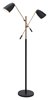 Picture of 80w (2 x 40w) Tanner Matte Black & Brass E12 G50 2-Light Floor Lamp