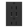 Picture of 15a adorne Graphite Tamper Resistant USB Plus-Size Combo Duplex Outlet