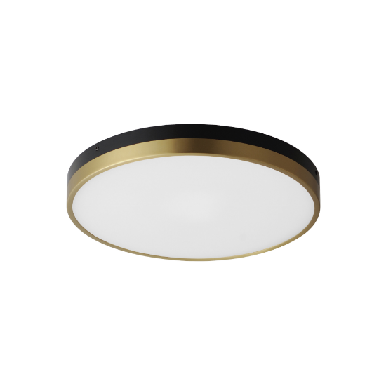 Picture of 16" Dapper Black and Antique Brass LED Flush Mount