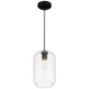 Picture of 7" Clarity Clear Cylinder Black T10 E26 Pendant