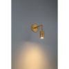 Foto para 2.50" Cafe Antique Brushed Brass Dim LED Sconce