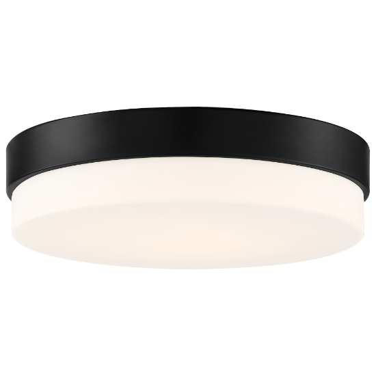 Foto para 11" Roma Matte Black LED Flush Mount