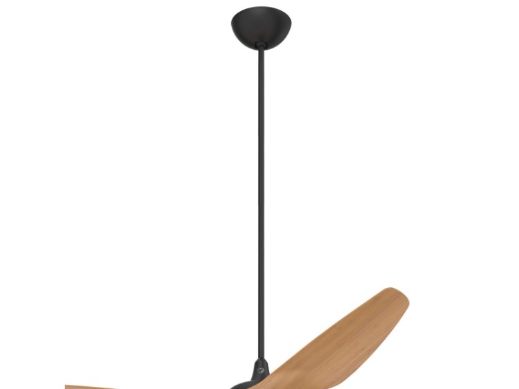 Foto para 60" Haiku Black Downrod
