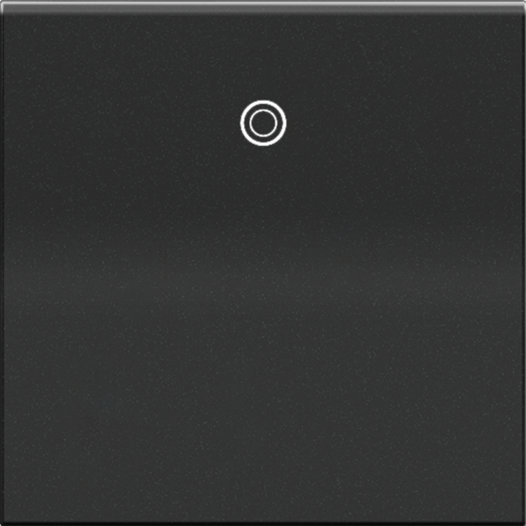 Picture of 20a adorne Paddle Graphite 4 Way Rocker Switch